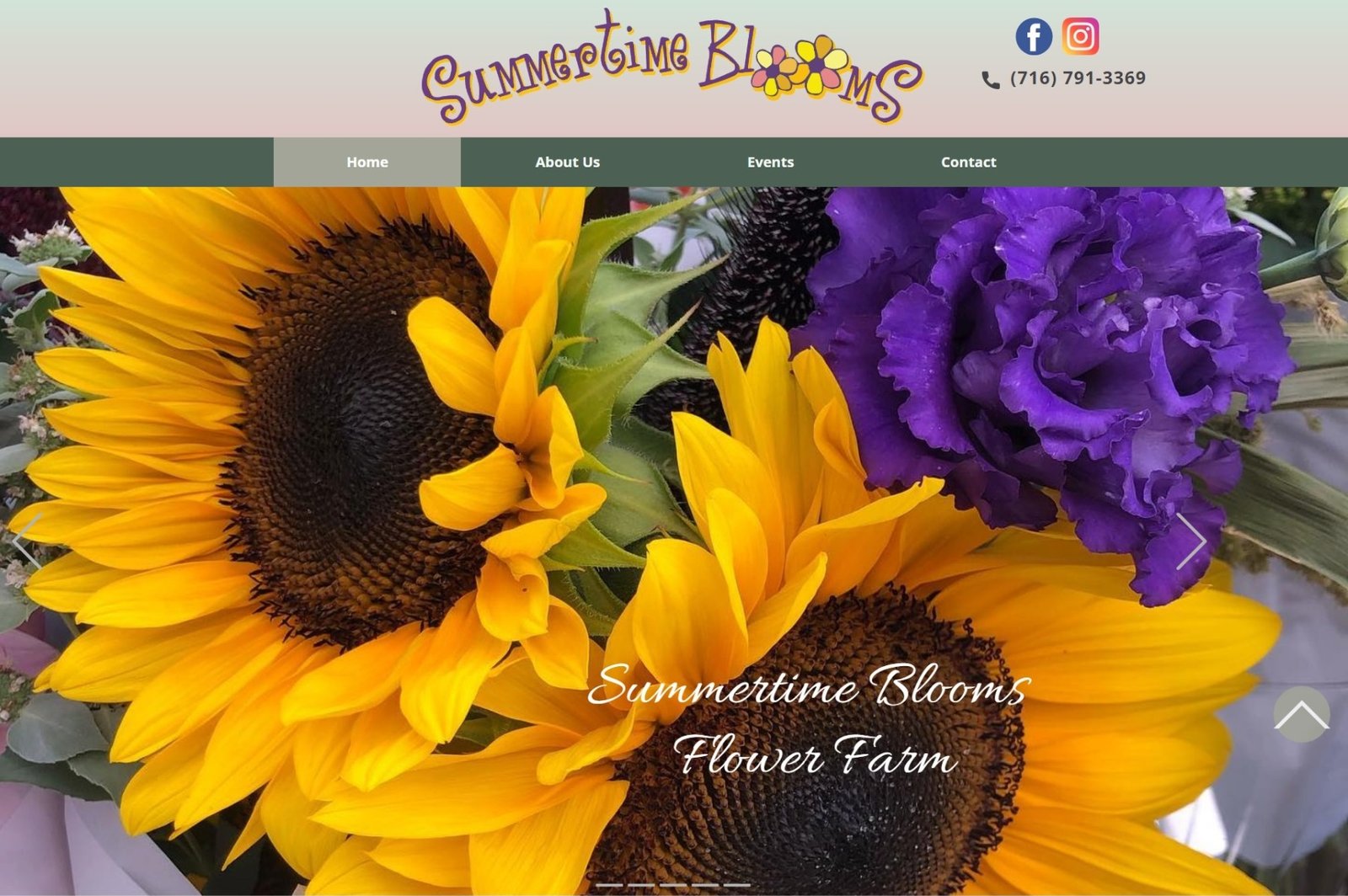 Website sample of Summertime Blooms.com