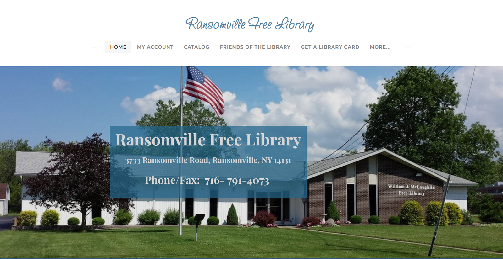 Screenshot of the Ransomville Library website